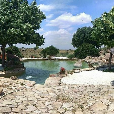 Finca El Cerco A 5M De Puy Du Fou Y 10M A Casco Antiguo De Toledo Villa Argés Buitenkant foto