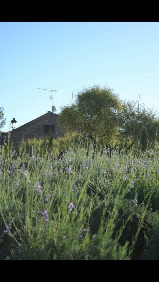 Finca El Cerco A 5M De Puy Du Fou Y 10M A Casco Antiguo De Toledo Villa Argés Buitenkant foto