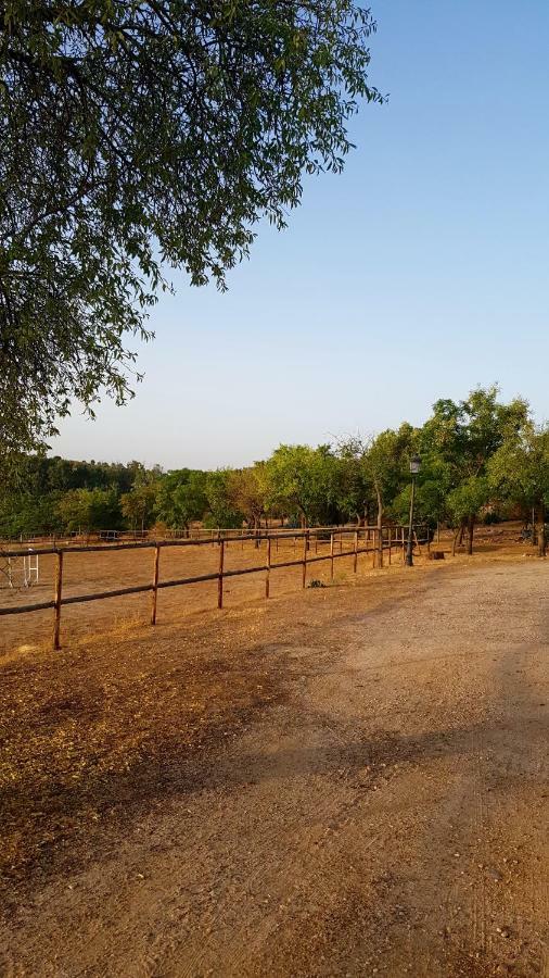 Finca El Cerco A 5M De Puy Du Fou Y 10M A Casco Antiguo De Toledo Villa Argés Buitenkant foto