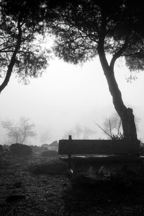 Finca El Cerco A 5M De Puy Du Fou Y 10M A Casco Antiguo De Toledo Villa Argés Buitenkant foto